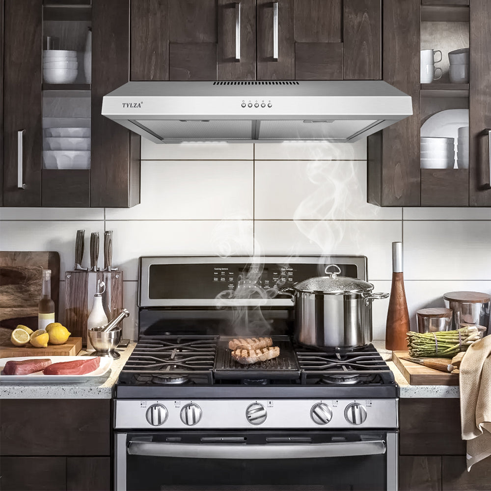 Tylza 30" 600 CFM Under Cabinet Range Hoods with Stainless Steel